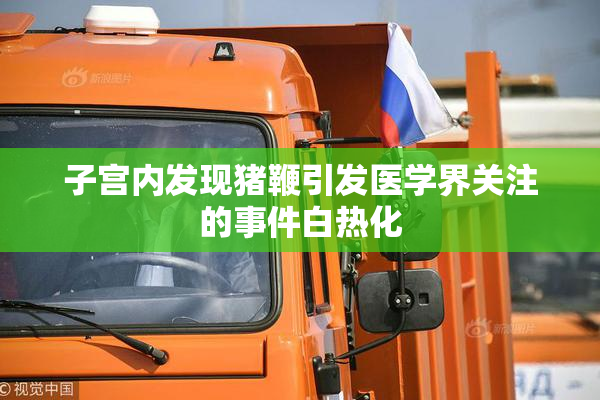 子宫内发现猪鞭引发医学界关注的事件白热化