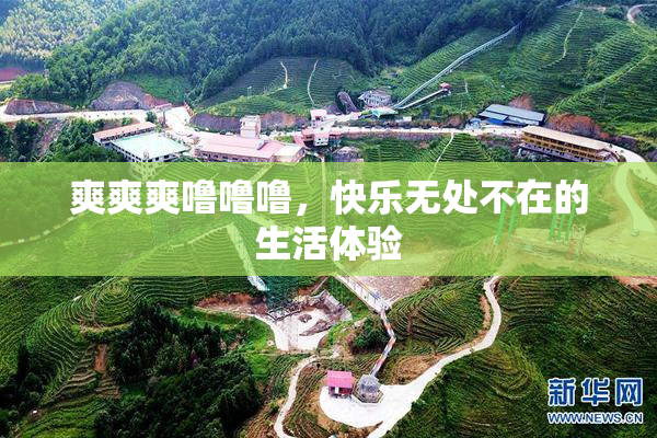 爽爽爽噜噜噜，快乐无处不在的生活体验