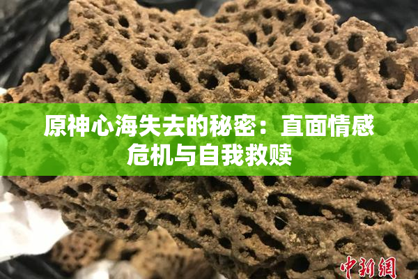 原神心海失去的秘密：直面情感危机与自我救赎