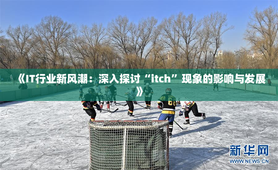 《IT行业新风潮：深入探讨“itch”现象的影响与发展》