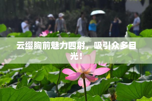 云缨胸前魅力四射，吸引众多目光！
