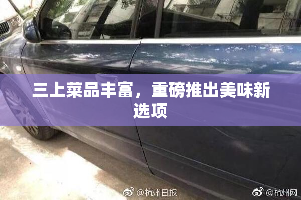 三上菜品丰富，重磅推出美味新选项