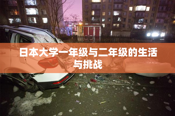 日本大学一年级与二年级的生活与挑战
