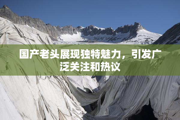 国产老头展现独特魅力，引发广泛关注和热议