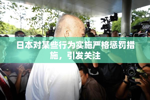 日本对某些行为实施严格惩罚措施，引发关注