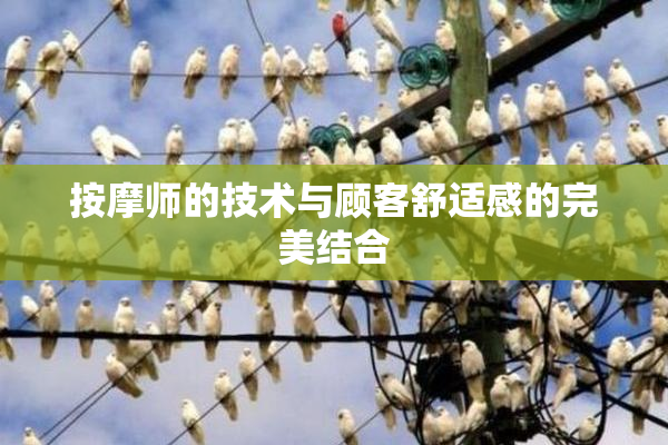 按摩师的技术与顾客舒适感的完美结合