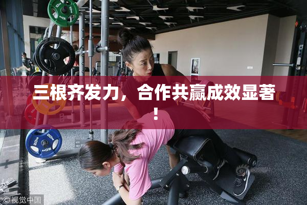 三根齐发力，合作共赢成效显著！