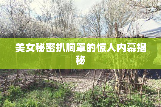美女秘密扒胸罩的惊人内幕揭秘