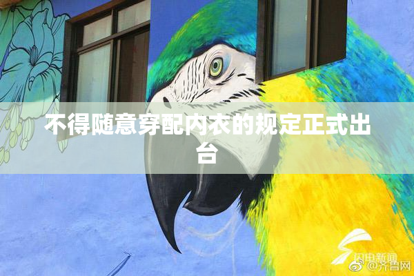 不得随意穿配内衣的规定正式出台