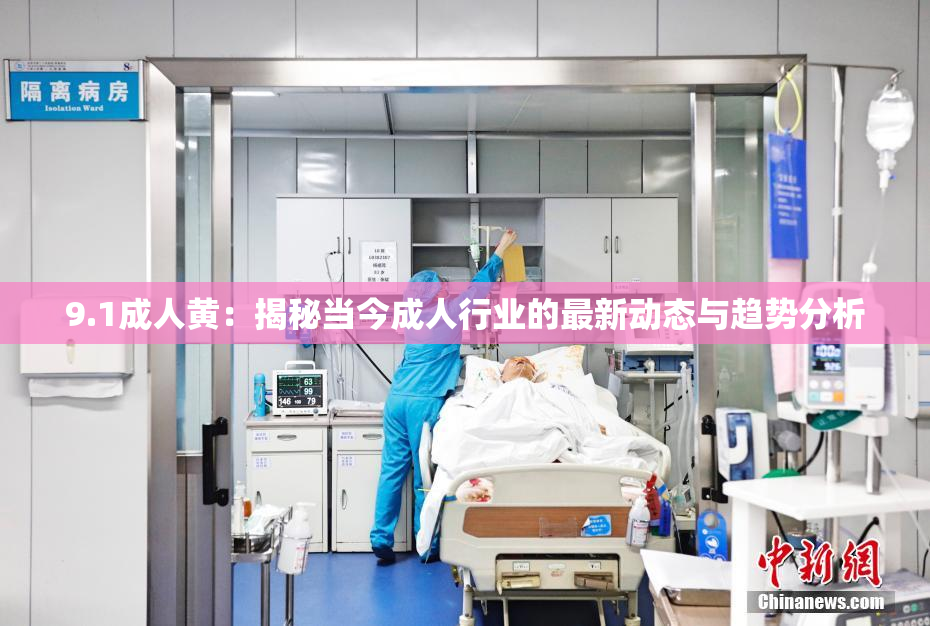 9.1成人黄：揭秘当今成人行业的最新动态与趋势分析