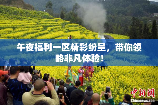 午夜福利一区精彩纷呈，带你领略非凡体验！