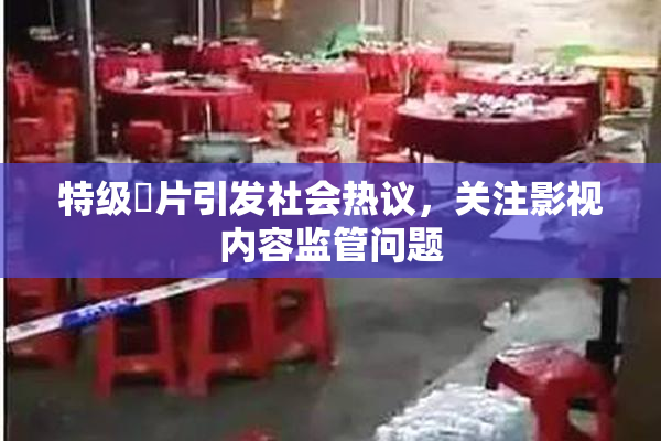 特级婬片引发社会热议，关注影视内容监管问题