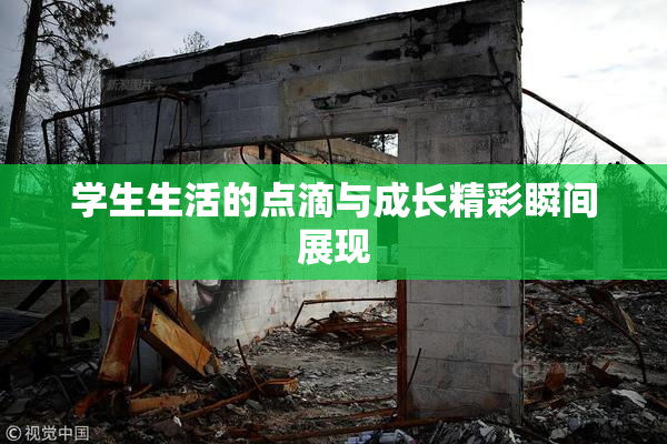 学生生活的点滴与成长精彩瞬间展现