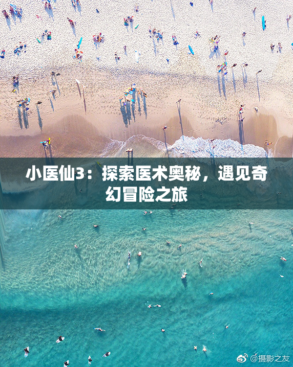 小医仙3：探索医术奥秘，遇见奇幻冒险之旅