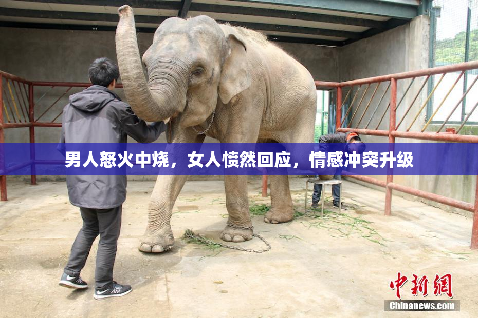 男人怒火中烧，女人愤然回应，情感冲突升级