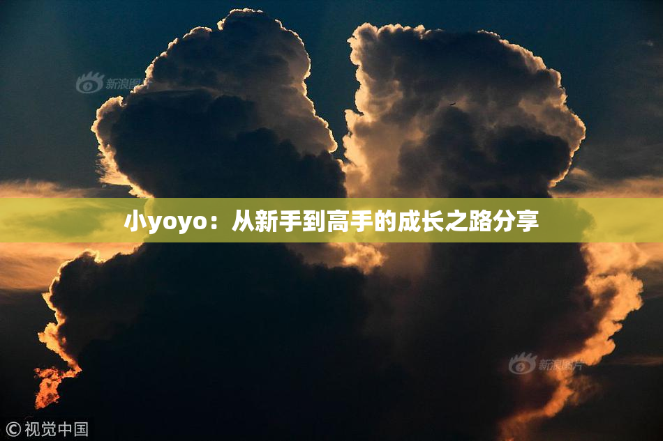 小yoyo：从新手到高手的成长之路分享