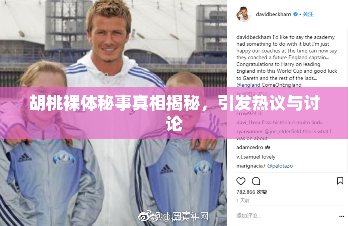 胡桃裸体秘事真相揭秘，引发热议与讨论