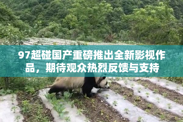 97超碰国产重磅推出全新影视作品，期待观众热烈反馈与支持