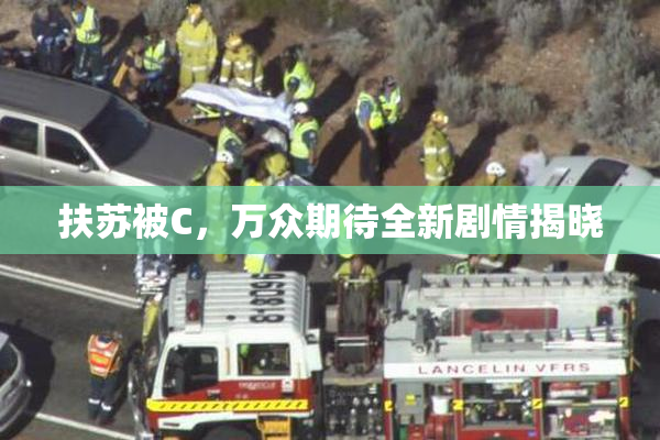 扶苏被C，万众期待全新剧情揭晓