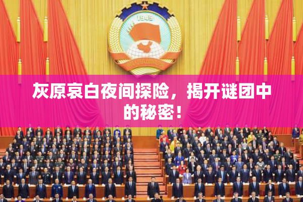 灰原哀白夜间探险，揭开谜团中的秘密！