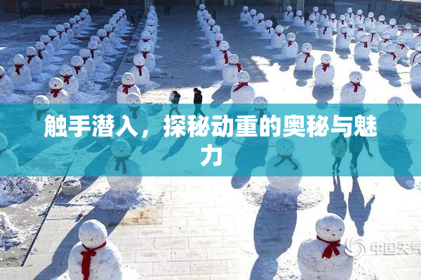 触手潜入，探秘动重的奥秘与魅力