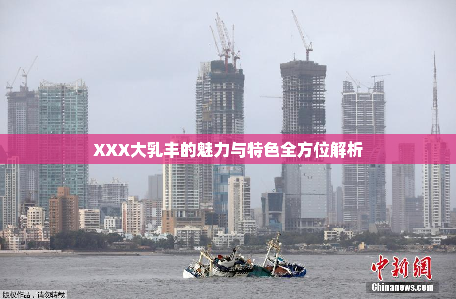 XXX大乳丰的魅力与特色全方位解析