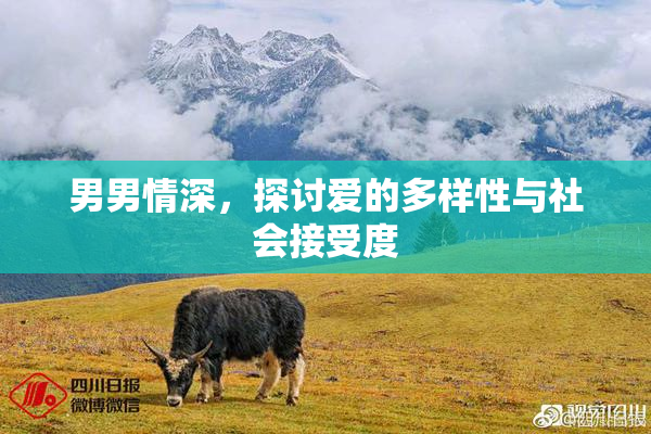 男男情深，探讨爱的多样性与社会接受度