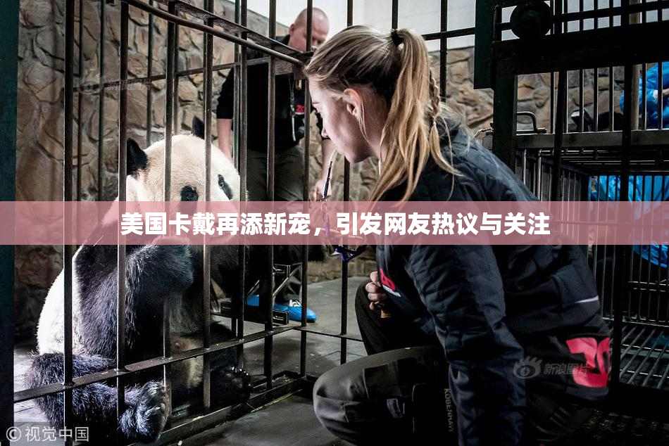 美国卡戴再添新宠，引发网友热议与关注