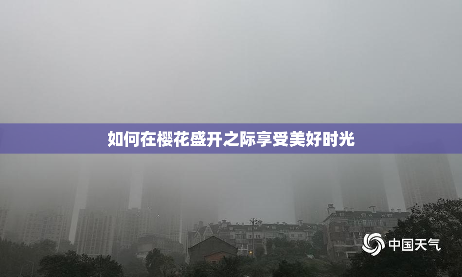 如何在樱花盛开之际享受美好时光
