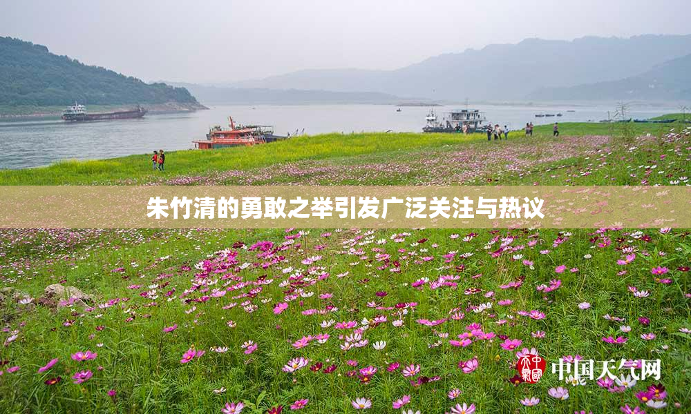 朱竹清的勇敢之举引发广泛关注与热议