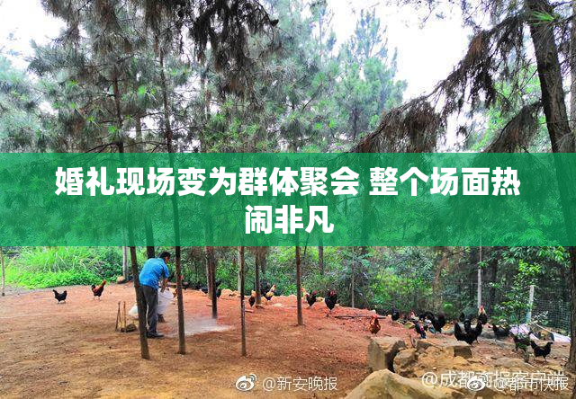 婚礼现场变为群体聚会 整个场面热闹非凡