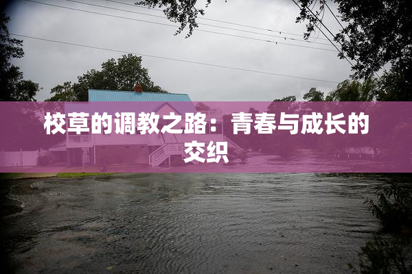 校草的调教之路：青春与成长的交织
