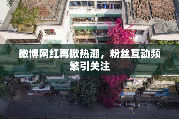 微博网红再掀热潮，粉丝互动频繁引关注