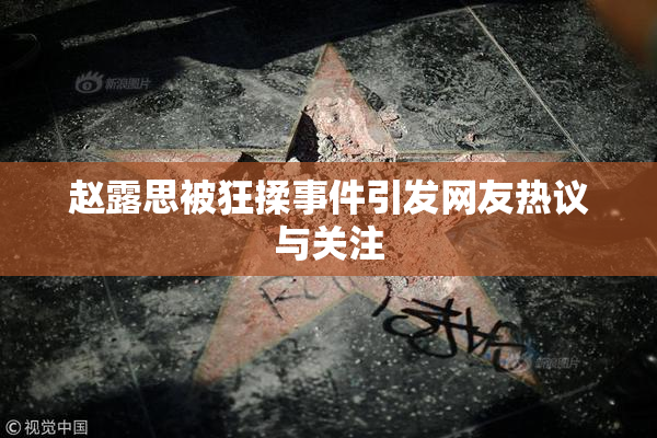 赵露思被狂揉事件引发网友热议与关注