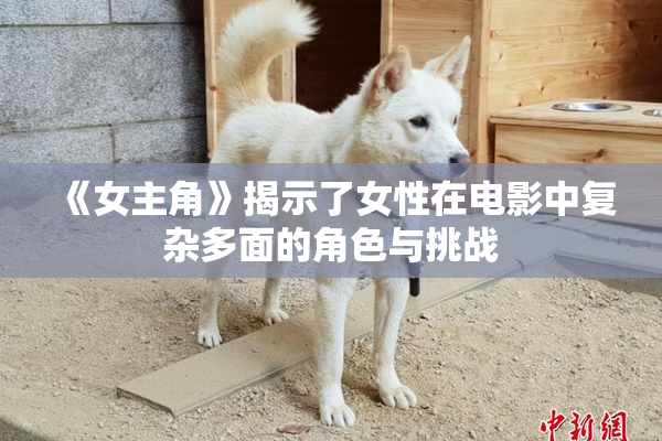 《女主角》揭示了女性在电影中复杂多面的角色与挑战