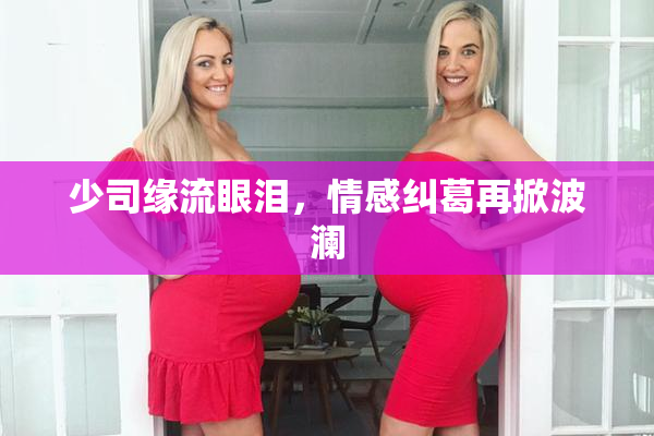 少司缘流眼泪，情感纠葛再掀波澜