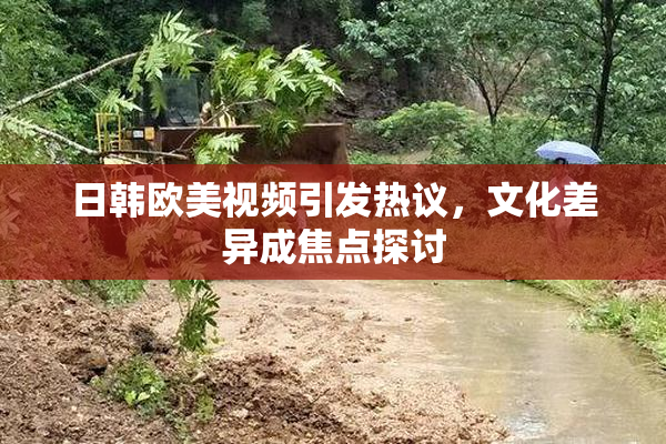 日韩欧美视频引发热议，文化差异成焦点探讨