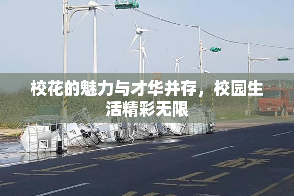 校花的魅力与才华并存，校园生活精彩无限