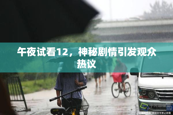 午夜试看12，神秘剧情引发观众热议