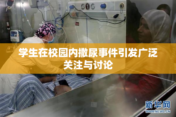 学生在校园内撒尿事件引发广泛关注与讨论