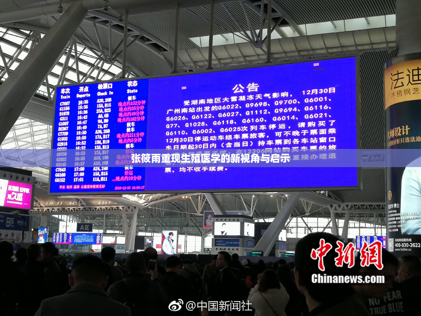 张筱雨重现生殖医学的新视角与启示