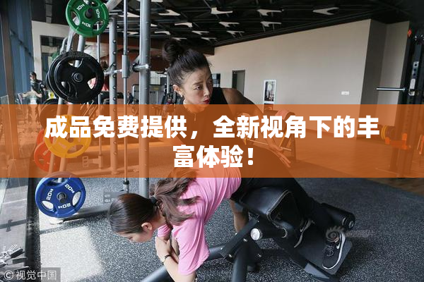 成品免费提供，全新视角下的丰富体验！
