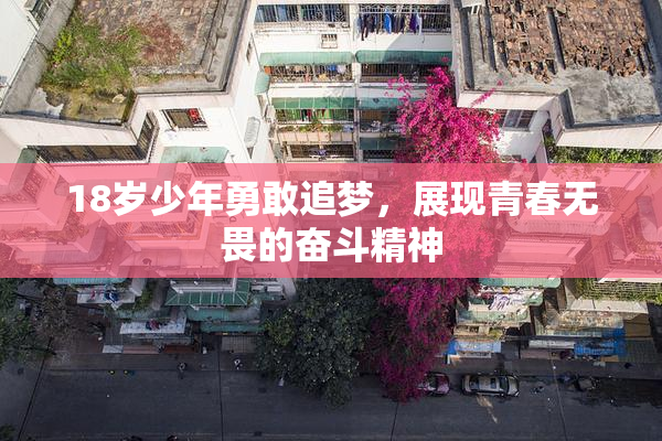 18岁少年勇敢追梦，展现青春无畏的奋斗精神