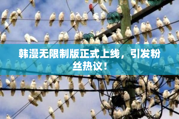 韩漫无限制版正式上线，引发粉丝热议！