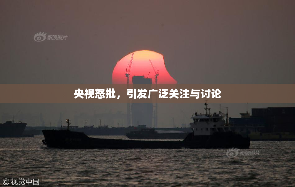 央视怒批，引发广泛关注与讨论