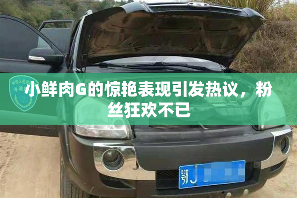 小鲜肉G的惊艳表现引发热议，粉丝狂欢不已