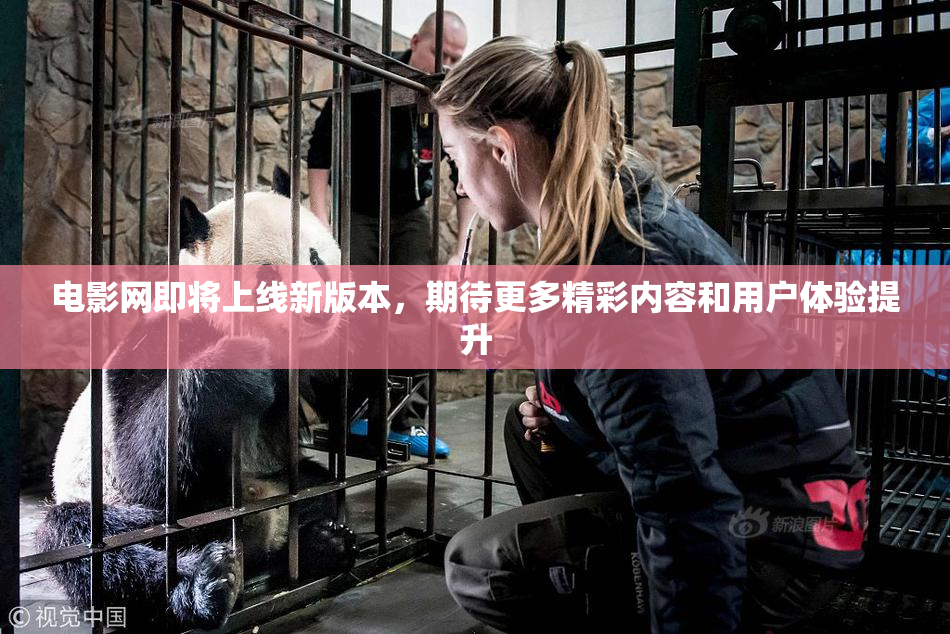 电影网即将上线新版本，期待更多精彩内容和用户体验提升