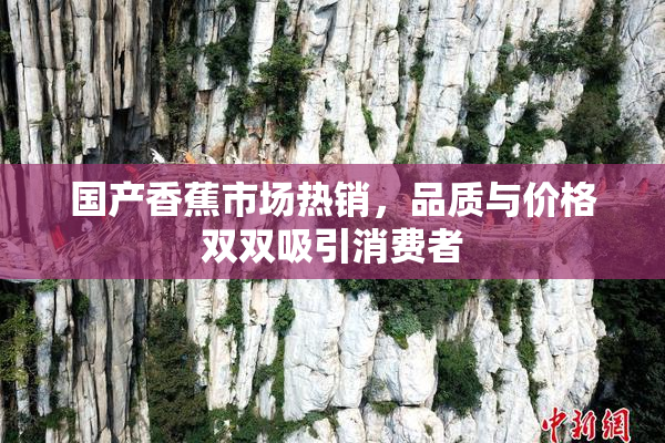 国产香蕉市场热销，品质与价格双双吸引消费者