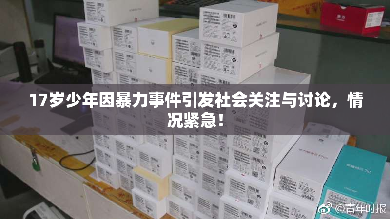 17岁少年因暴力事件引发社会关注与讨论，情况紧急！