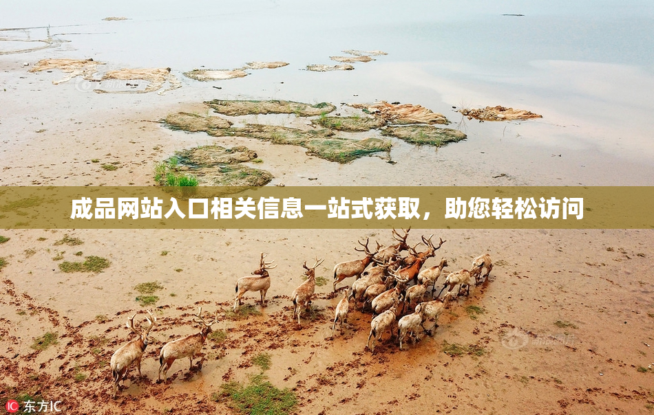 成品网站入口相关信息一站式获取，助您轻松访问